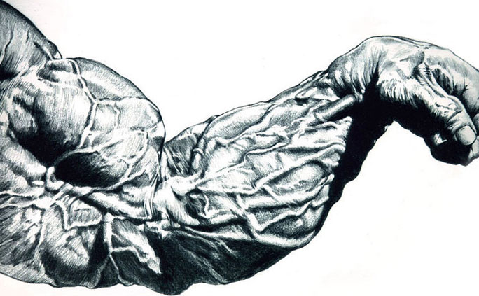 Alla armmuskler: anatomi och deras rätta träning